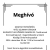 Meghívó